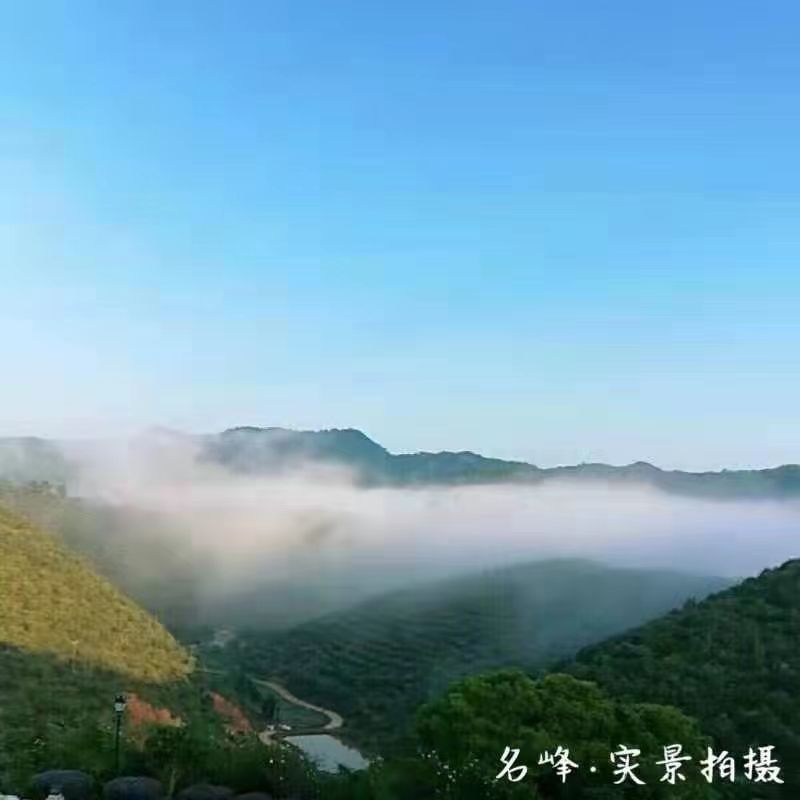 基地展示